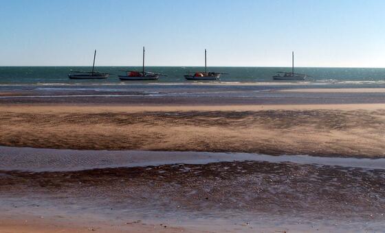 un-refugee-agency-reports-144-migrants-dead-or-missing-off-mauritanian-coast