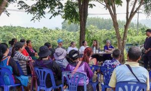 security-council-live:-how-to-turn-preventive-diplomacy-rhetoric-into-action