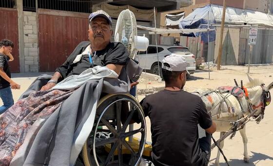 gaza:-dialysis-patients-face-grueling-hospital-journey-by-donkey-cart