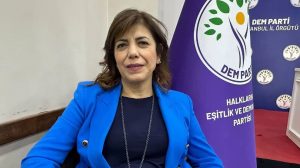 meral-danis-bestas:-bu-yasa-butun-sorunlari-cozmeyecek-ama-tarihi-bir-ilk-adim-olacak