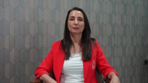 tulay-hatimogullari:-kok-yasa,-kurt-sorunun-demokratik-cozumunun-hukuki-zemini-olmali