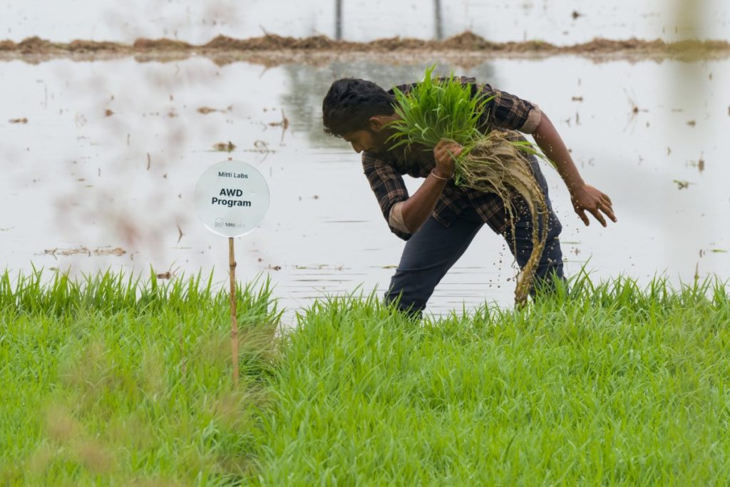 saudi-aramco-backs-india’s-mitti-labs-to-make-asia’s-rice-farming-more-water-resilient-|-techcrunch