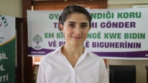 ‘surec-demokratik-entegrasyon-ve-hukuki-guvencelerle-guclendirilmeli’
