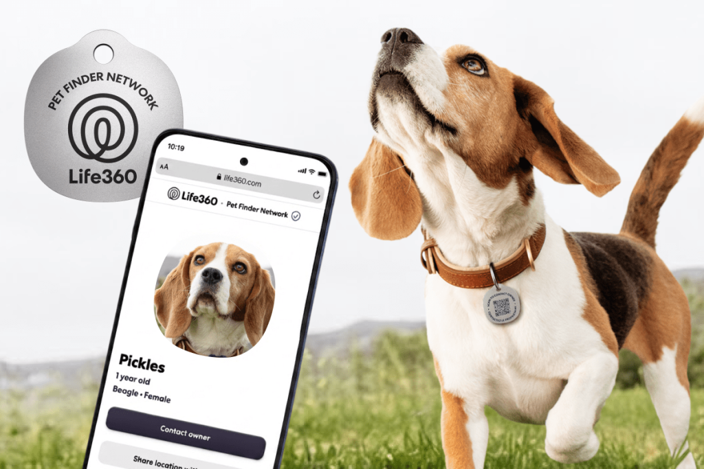 life360-expands-pet-tracking-with-new-$8-scannable-tags-and-zoomie-alerts-|-techcrunch