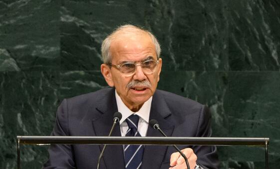 ‘no-one-speaks-on-behalf-of-lebanon’:-pm-salam-asserts-state-authority-at-un