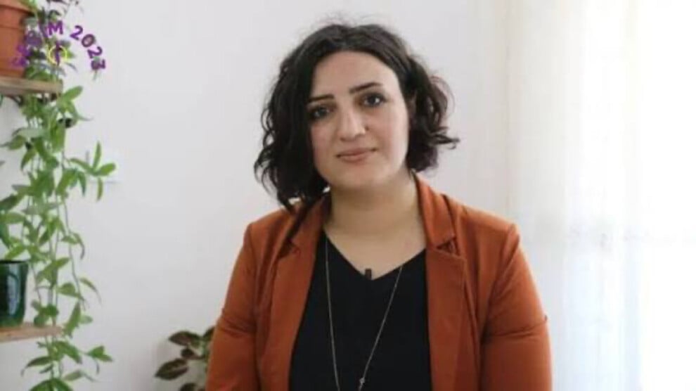 ‘baris-ve-demokratik-toplumun-insasi-mucadeleyi-ve-direnisi-gerektiriyor’