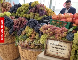 shafaq-news.duhok-grape,-honey-festival-doubles-farmer-participation
