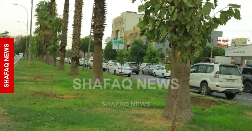 shafaq-news.erbil-launches-major-tree-planting-campaign