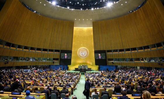 reform,-or-lose-trust:-governments-press-the-un-to-reflect-the-world-as-it-is