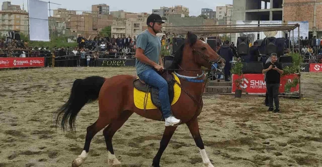 shafaq-news.iran’s-saqqez-to-host-international-kurdish-horse-festival