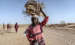 darfur:-healthcare-needs-outstrip-resources-as-security-council-extends-sudan-sanctions