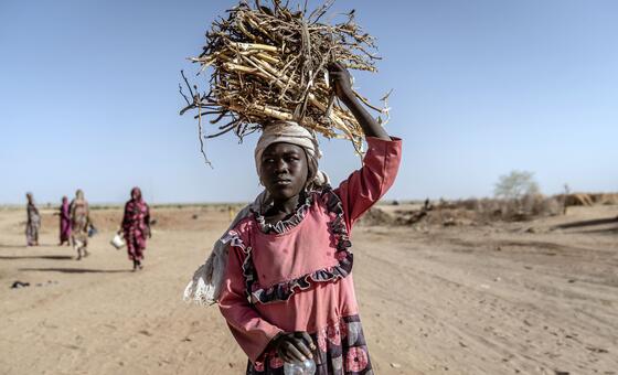 darfur:-healthcare-needs-outstrip-resources-as-security-council-extends-sudan-sanctions