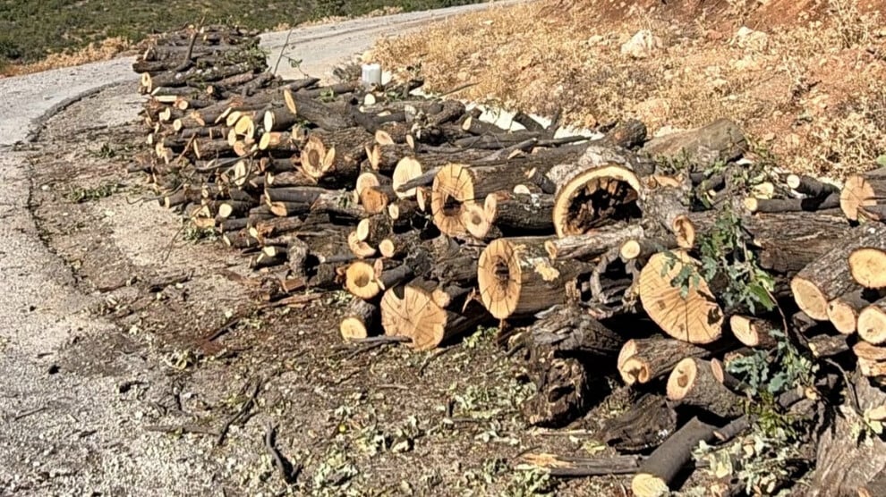 besta’da-korucular-tarafindan-agac-kiyimi