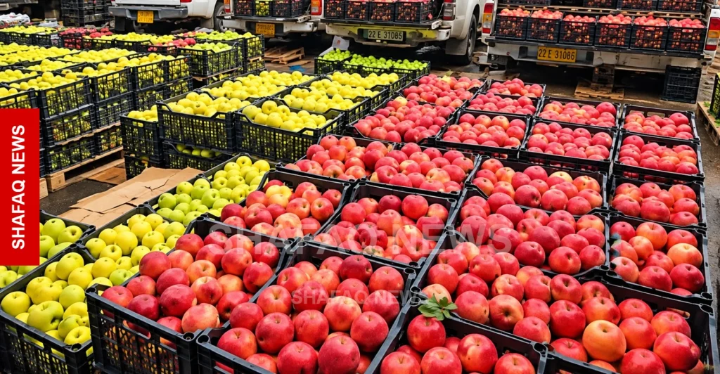 shafaq-news.duhok-apple-farmers-urge-import-ban-to-sell-harvest
