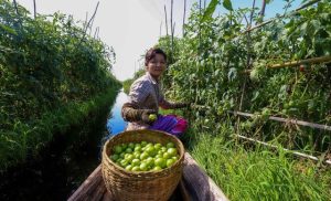 the-world-is-waging-a-‘war-on-nature’-as-progress-on-biodiversity-targets-lags